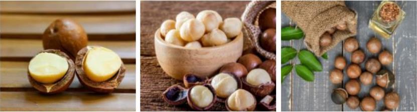 Macadamia ถั่ว