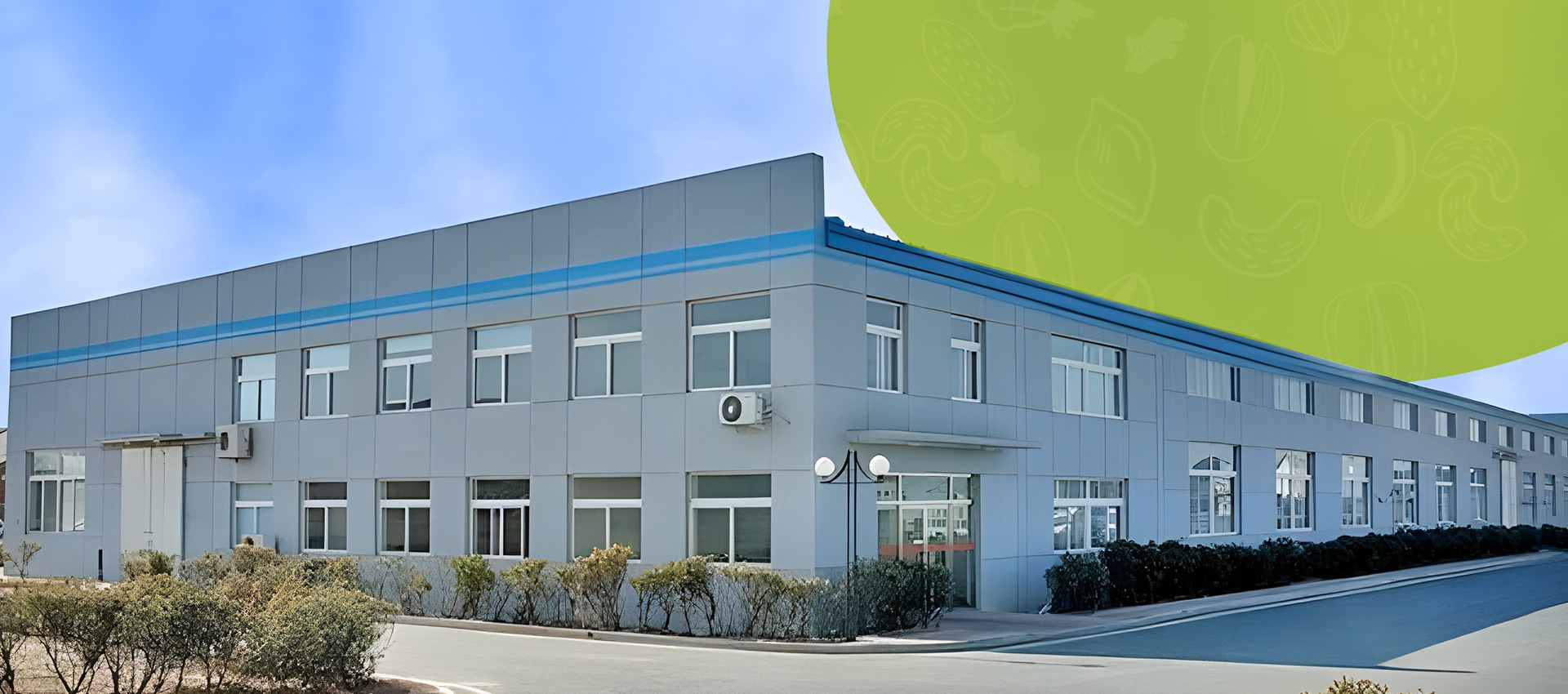 Professional Peanut and Dried Fruits Manufacturer