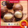 Macadamia ถั่ว