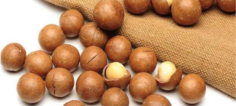 Macadamia ถั่ว